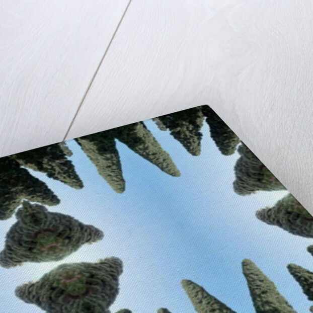 Unnatural 169 by Giovanni Cafagna