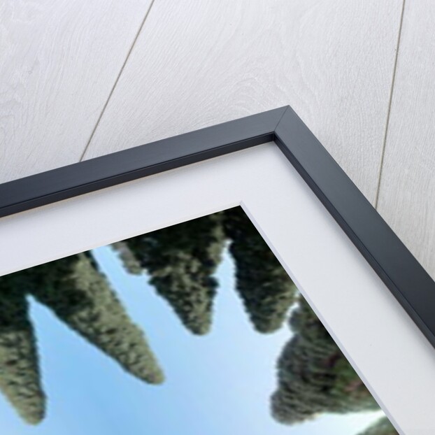 Unnatural 169 by Giovanni Cafagna