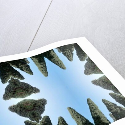 Unnatural 169 by Giovanni Cafagna