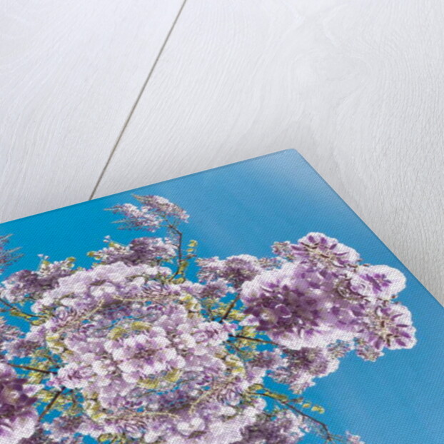 Unnatural 180 by Giovanni Cafagna