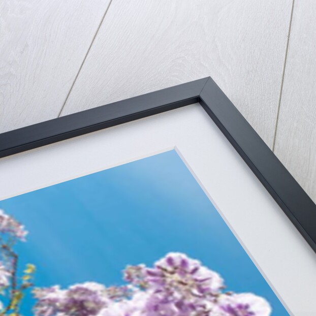 Unnatural 180 by Giovanni Cafagna