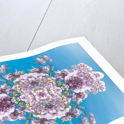 Unnatural 180 by Giovanni Cafagna