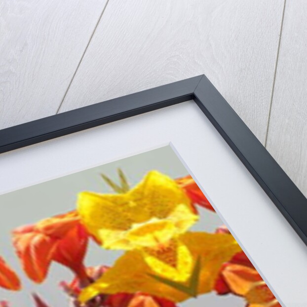 Unnatural 190 by Giovanni Cafagna