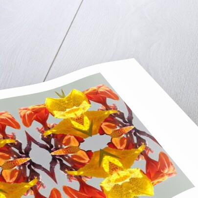 Unnatural 190 by Giovanni Cafagna