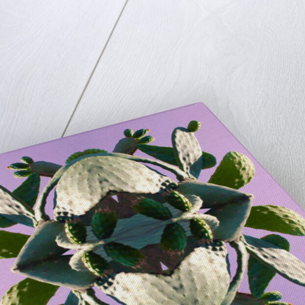 Unnatural 196 by Giovanni Cafagna