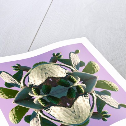 Unnatural 196 by Giovanni Cafagna