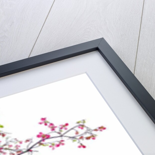 Unnatural 200 by Giovanni Cafagna