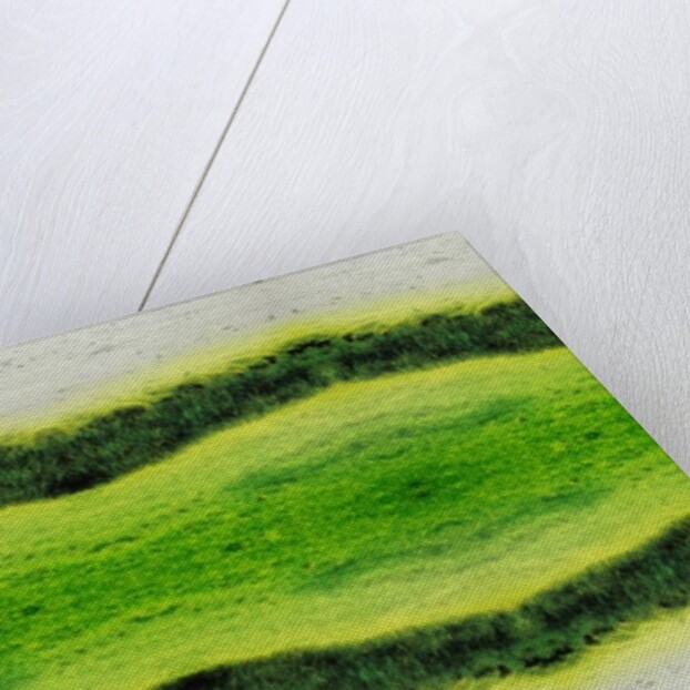 Unnatural 2.1 by Giovanni Cafagna