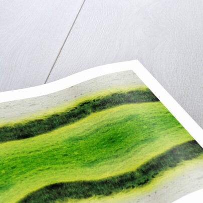 Unnatural 2.1 by Giovanni Cafagna