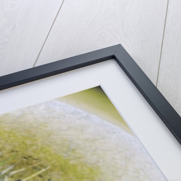 Unnatural 6.1 by Giovanni Cafagna