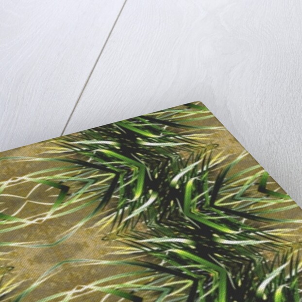 Unnatural 16 by Giovanni Cafagna