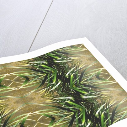 Unnatural 16 by Giovanni Cafagna