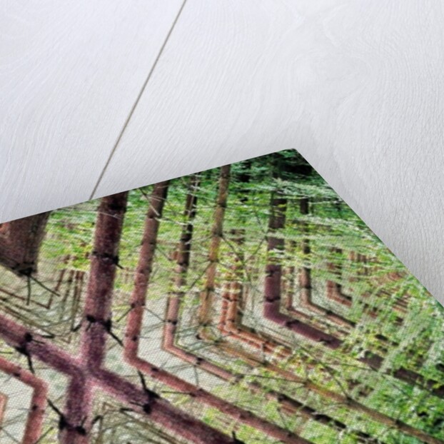 Unnatural 37 by Giovanni Cafagna