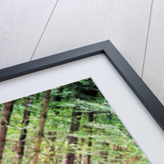 Unnatural 37 by Giovanni Cafagna