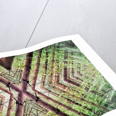 Unnatural 37 by Giovanni Cafagna