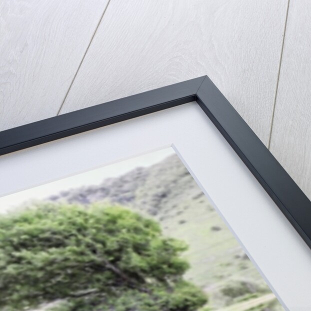 Unnatural 40 by Giovanni Cafagna