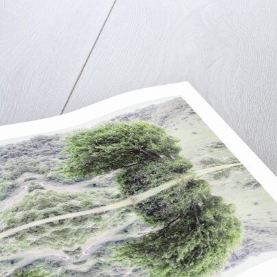 Unnatural 40 by Giovanni Cafagna