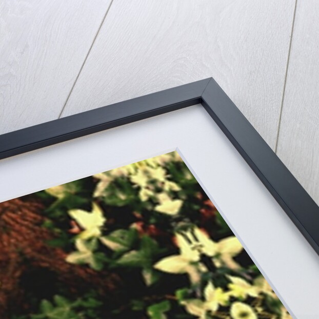 Unnatural 43 by Giovanni Cafagna