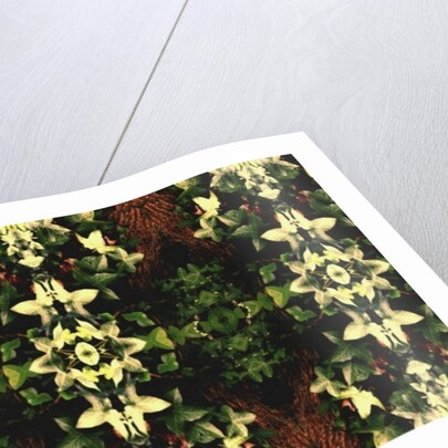 Unnatural 43 by Giovanni Cafagna