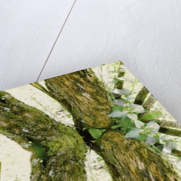 Unnatural 45 by Giovanni Cafagna