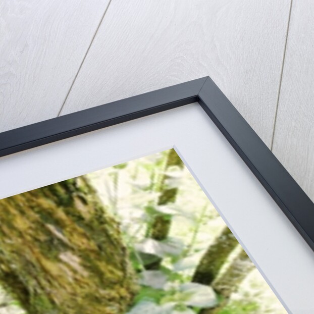 Unnatural 45 by Giovanni Cafagna