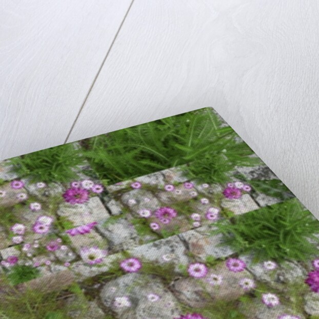 Unnatural 60 by Giovanni Cafagna