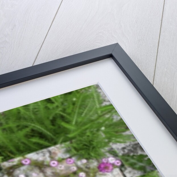 Unnatural 60 by Giovanni Cafagna