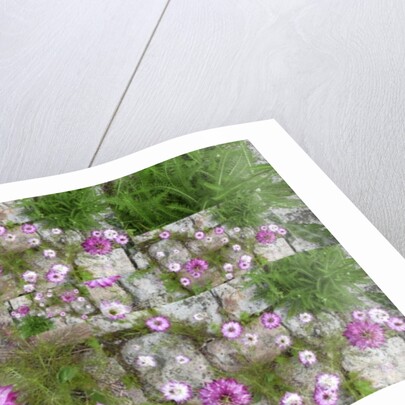 Unnatural 60 by Giovanni Cafagna