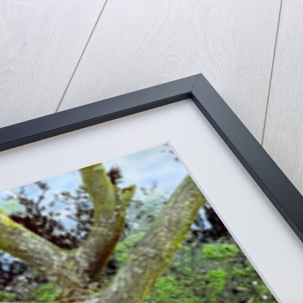 Unnatural 65.2 by Giovanni Cafagna