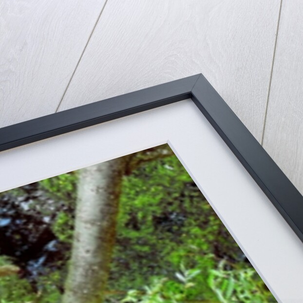 Unnatural 65.3 by Giovanni Cafagna