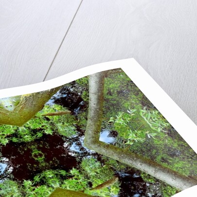 Unnatural 65.3 by Giovanni Cafagna