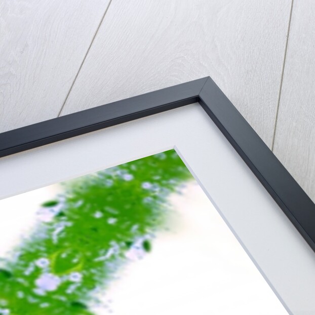 Unnatural 67 by Giovanni Cafagna