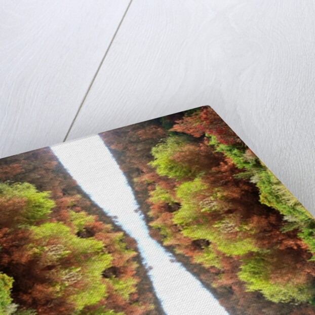 Unnatural 77 by Giovanni Cafagna