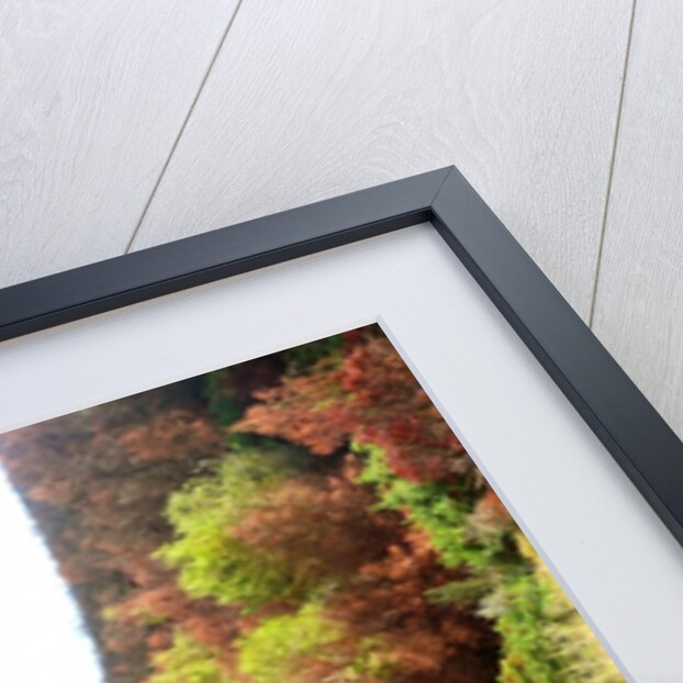 Unnatural 77 by Giovanni Cafagna