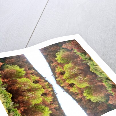 Unnatural 77 by Giovanni Cafagna