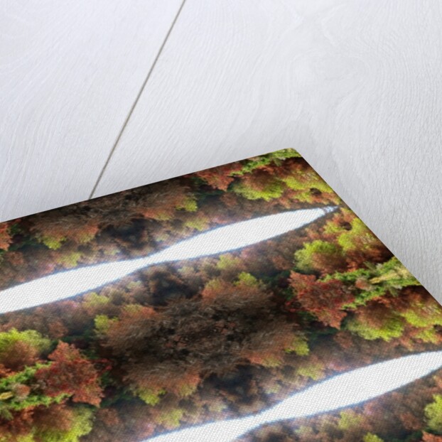 Unnatural 77.1 by Giovanni Cafagna