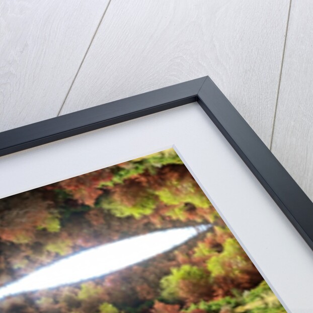 Unnatural 77.1 by Giovanni Cafagna