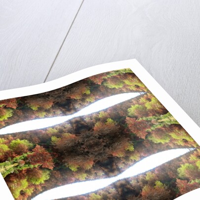 Unnatural 77.1 by Giovanni Cafagna