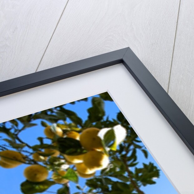 Unnatural 78 by Giovanni Cafagna