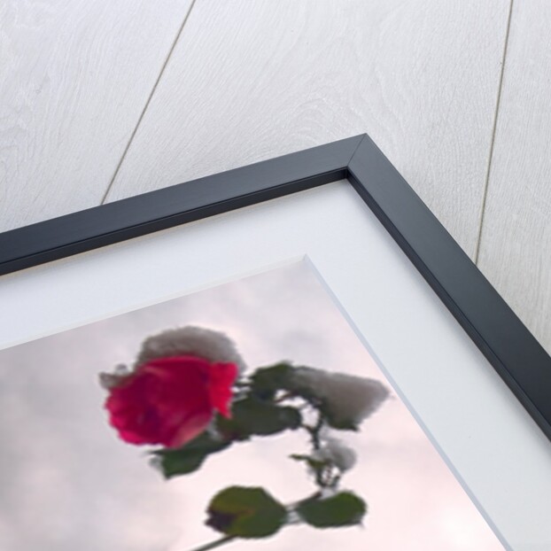 Unnatural 80 by Giovanni Cafagna