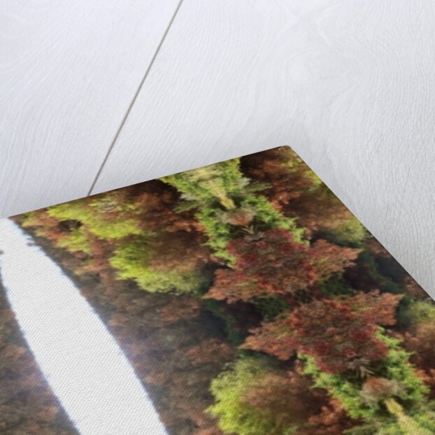 Unnatural 81 by Giovanni Cafagna