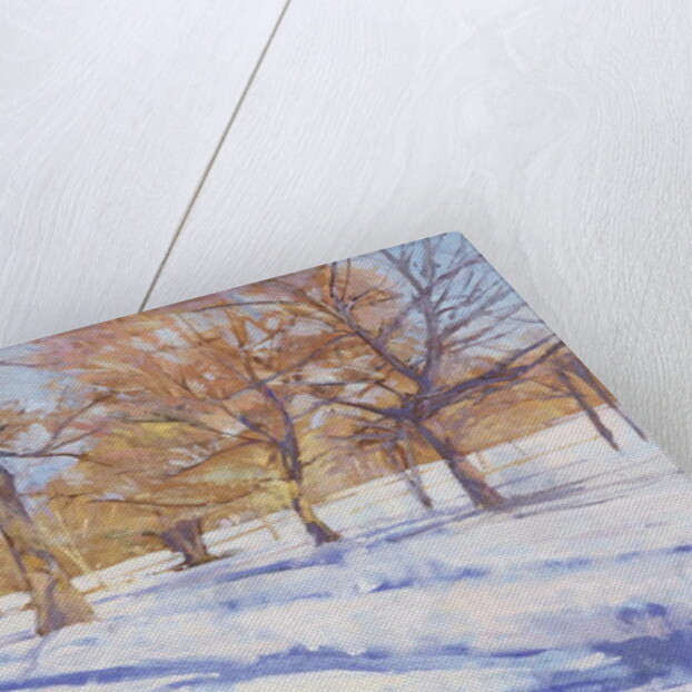 Winter, Richmond Park by Christopher Glanville