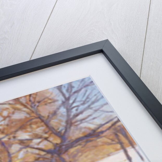 Winter, Richmond Park by Christopher Glanville