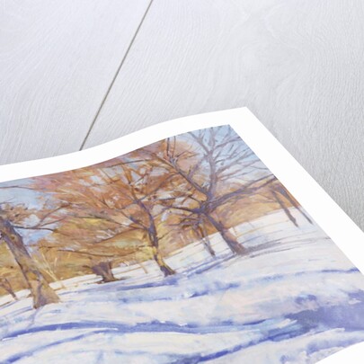 Winter, Richmond Park by Christopher Glanville