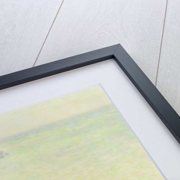 The House at Douanier, Pink Effect, 1897 by Claude Monet