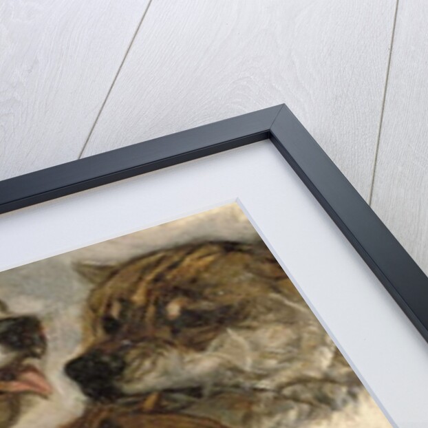 Studies of huskies' heads by George Bouverie Goddard