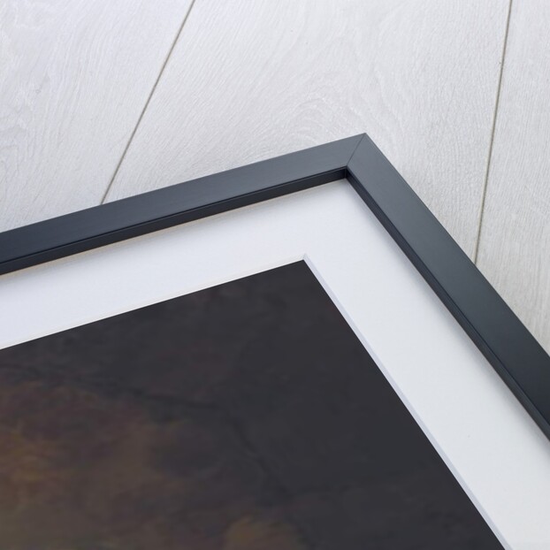 Portrait of Hortense Mancini, 1680 by Henri Gascars