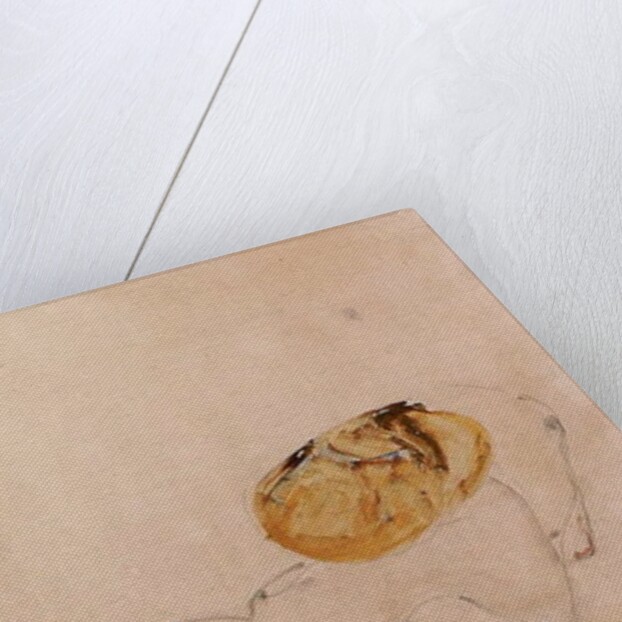 Scared, crouching young girl, 1912 by Egon Schiele