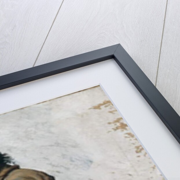 An Eskimo by Francois Auguste Biard