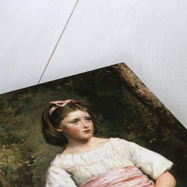 Dropped from the Nest by John Everett Millais